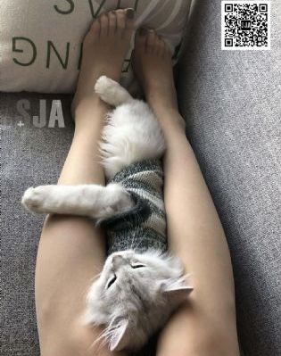 年轻善良的子3