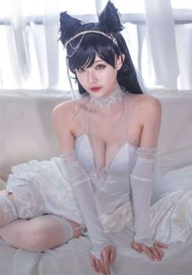 狐狸新娘星