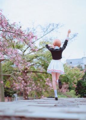 da师电视剧免费全集